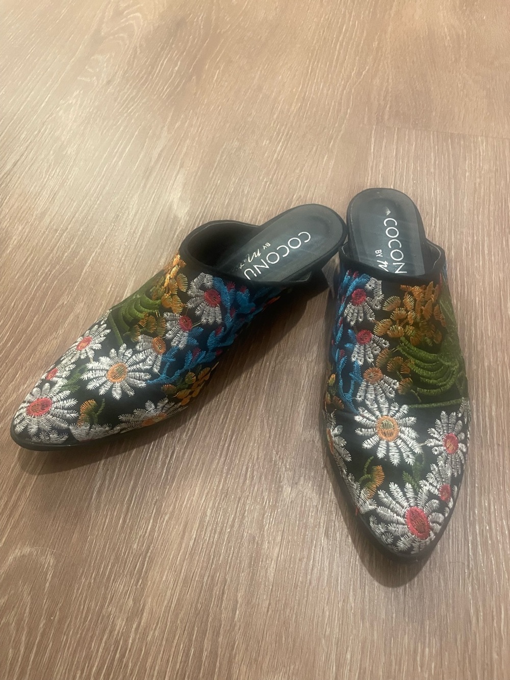 Matisse Black Floral Embroidered Pointed Mules